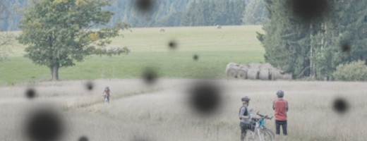 Diabetická retinopatia