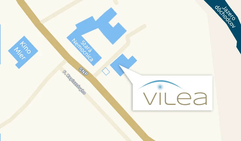 Vilea on the map